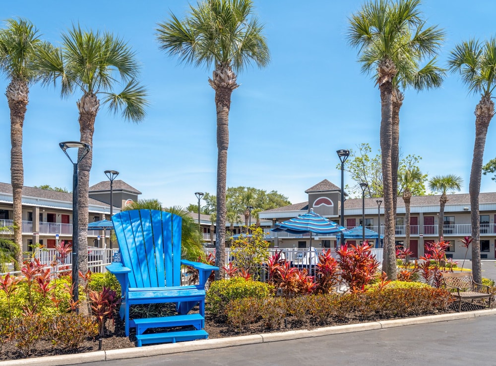Hotel South Tampa & Suites - photo 36