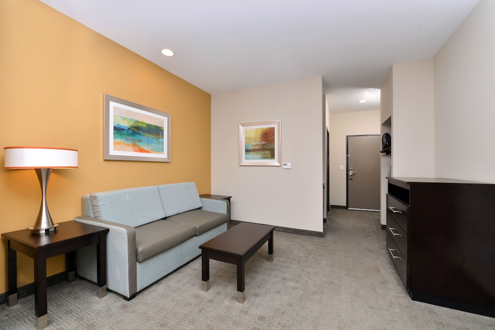 Holiday Inn Express & Suites Austin South by IHG - photo 11