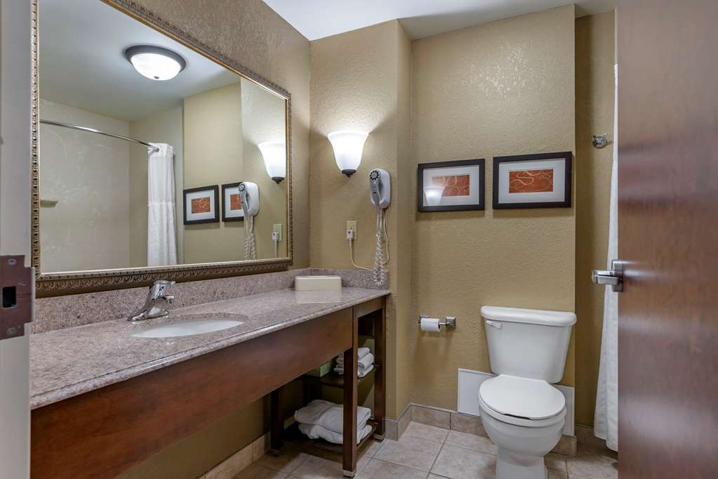 Comfort Suites Grand Rapids South - photo 13