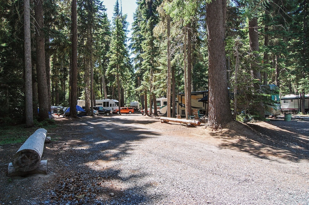 Shelter Cove Resort and Marina - photo 102