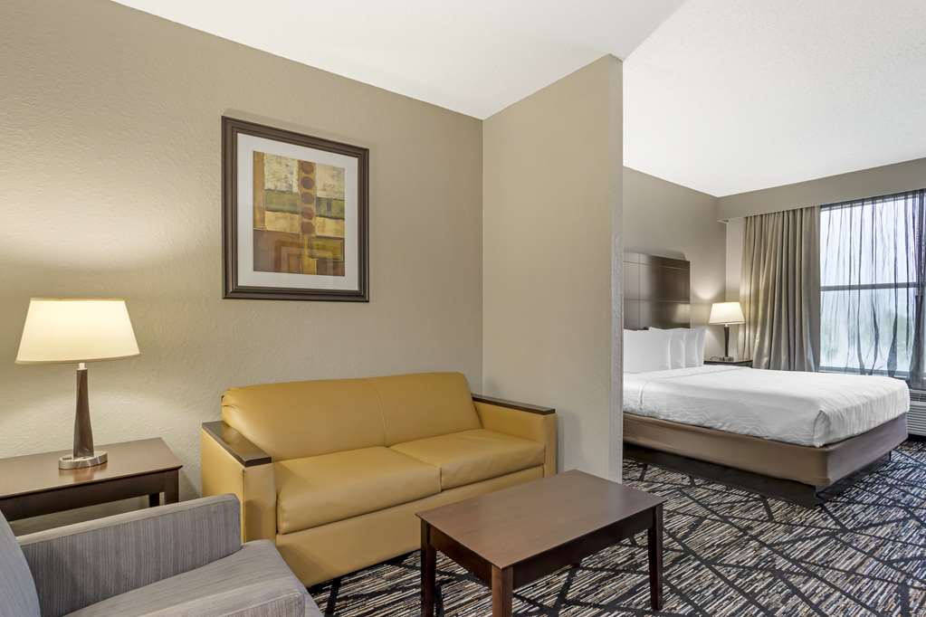 Best Western Plus Hobby Airport Inn & Suites - photo 6