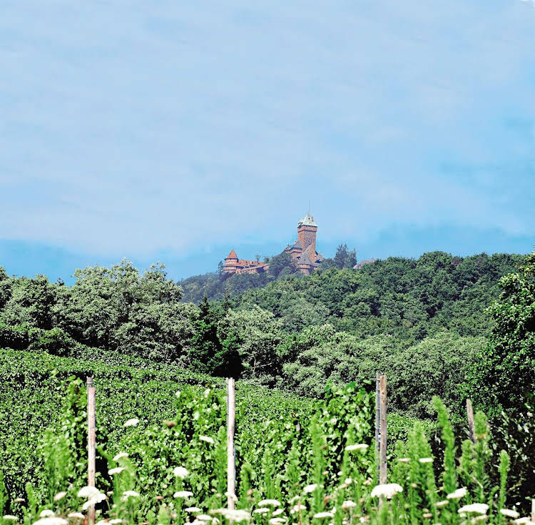 Belambra Clubs Les Cigognes