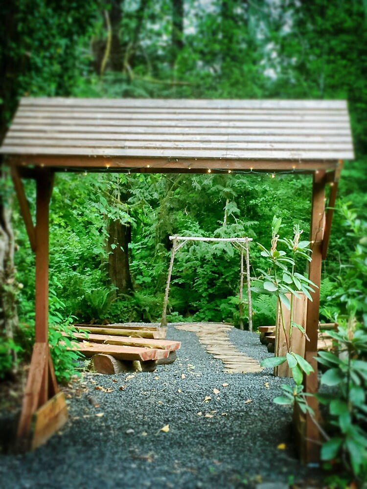 Robin Hood Village Resort - photo 133