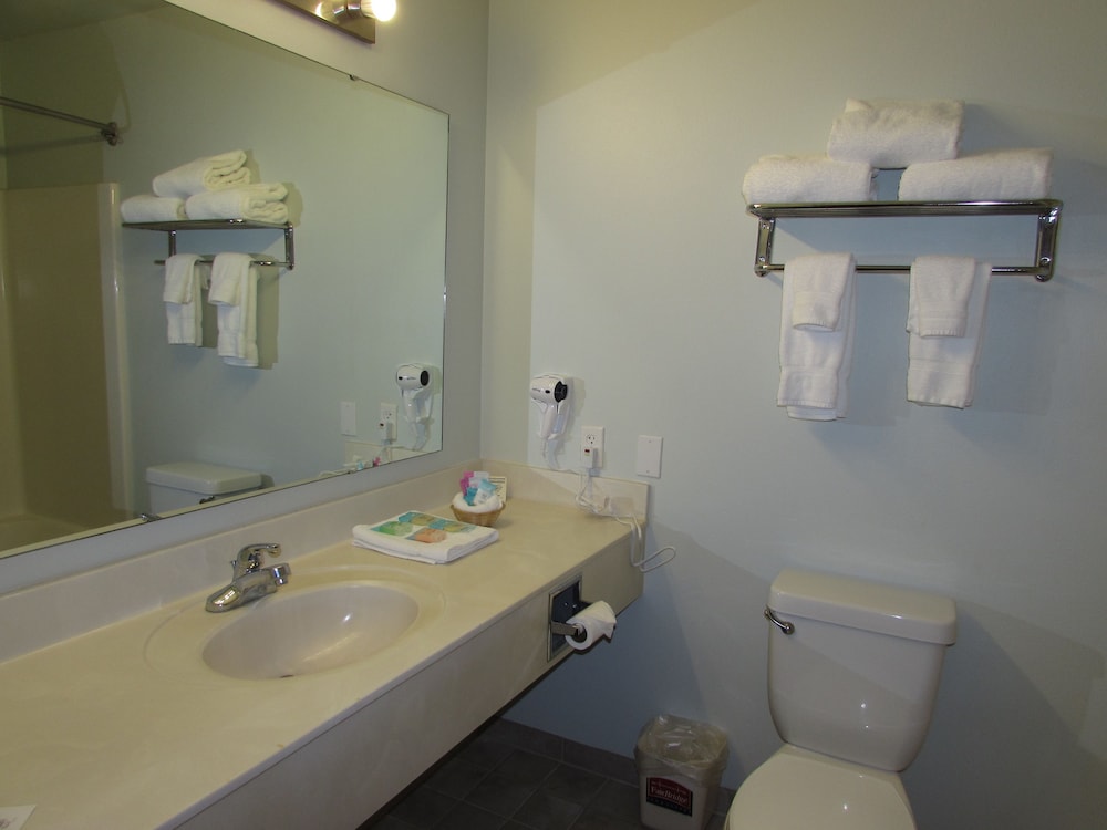 FairBridge Inn & Suites Dupont - photo 28