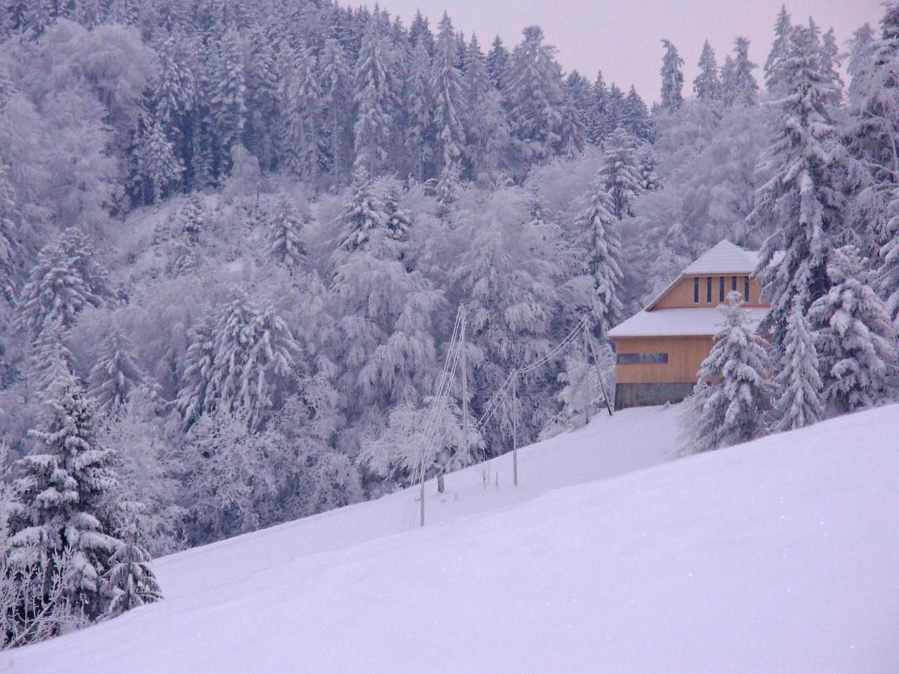 Apartment Egggraben by Interhome — 4-Star Luxury Hotel in Melchnau, Switzerland