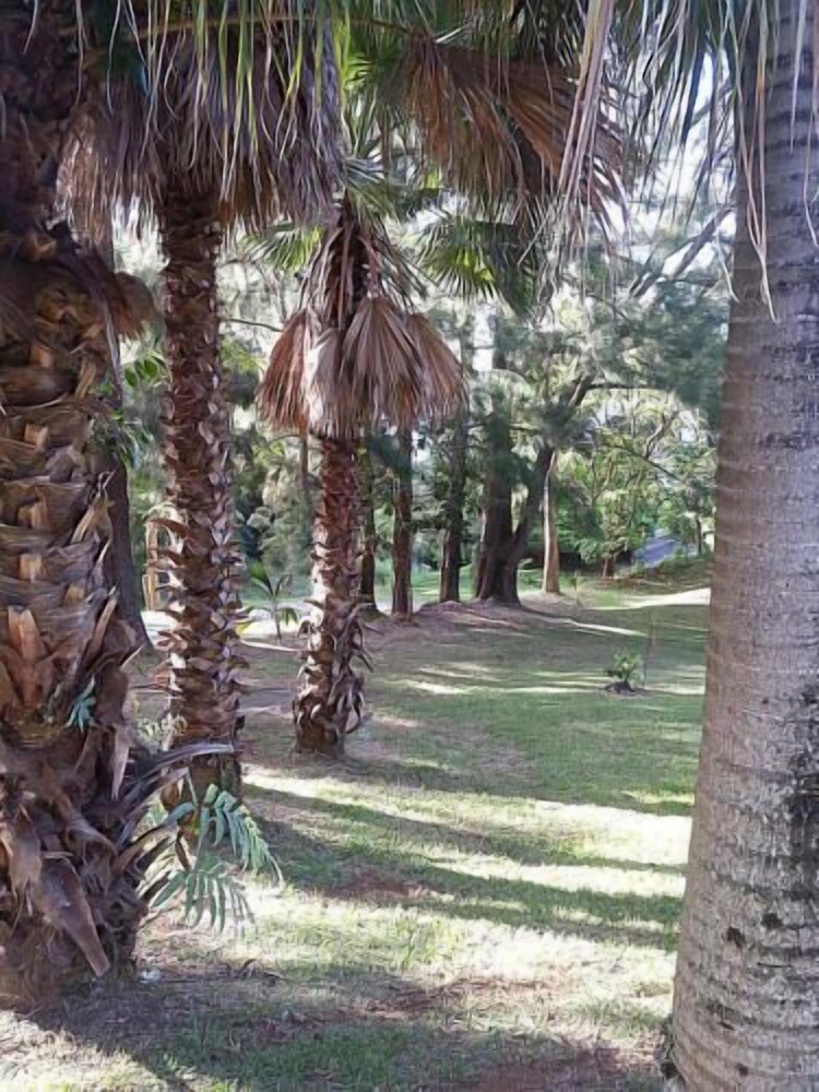 Hale Kukui Orchard & Cottages - photo 31