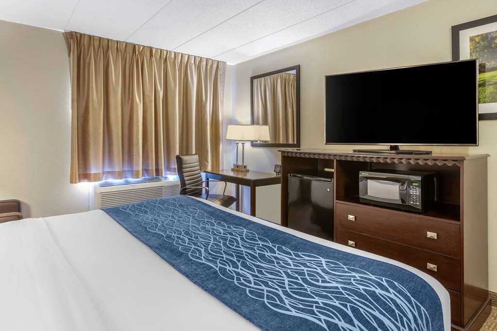 Comfort Inn Grand Rapids Airport - photo 22