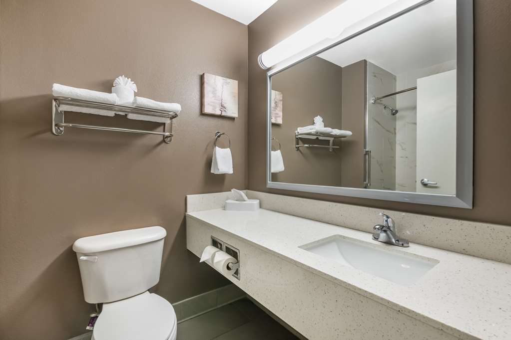 Best Western Plus Lake City - photo 33