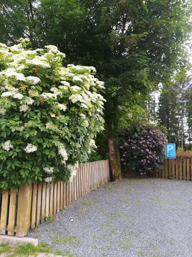 Ferienwohnung im Harz Haus Bruns — Clausthal Zellerfeld — photo 4