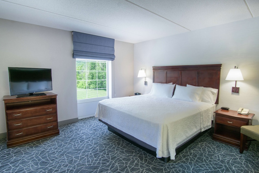 Hampton Inn & Suites Berkshires Lenox - photo 13