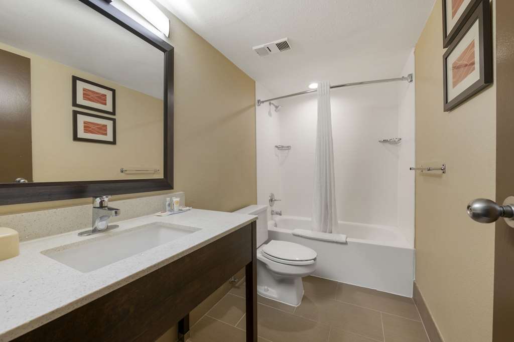 Comfort Inn & Suites Indianapolis Northwest College Park - photo 14