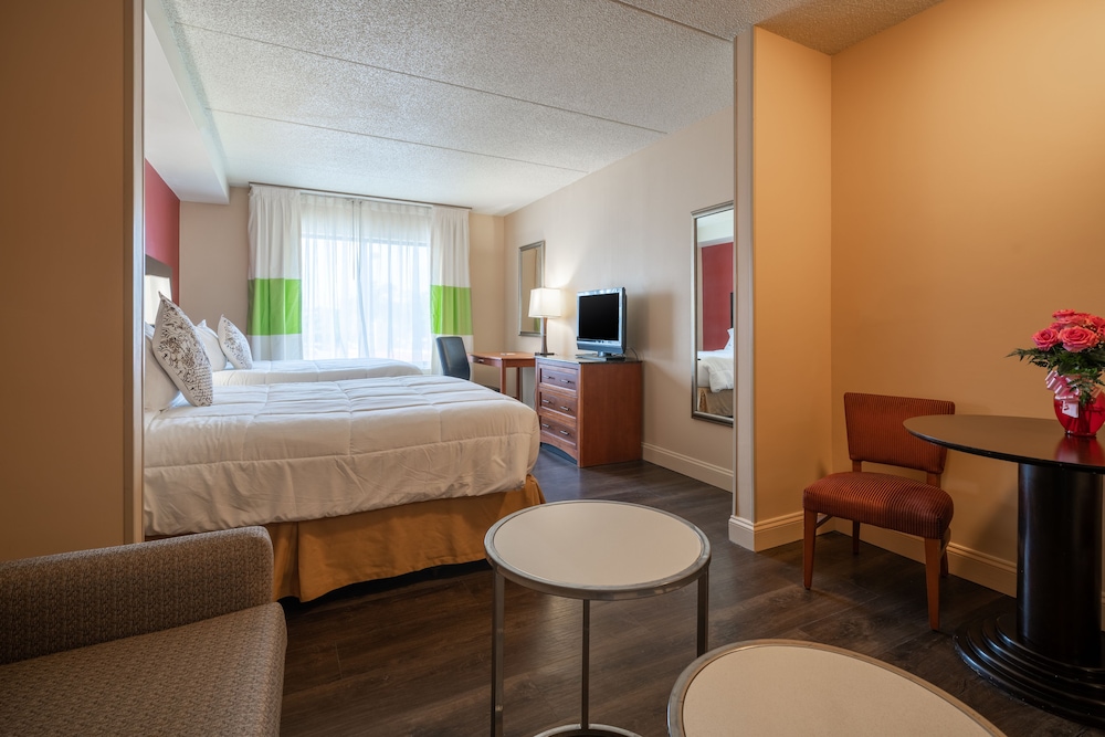 City Express by Marriott Washington DC Northeast - photo 13