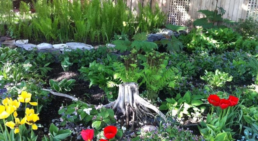 Turtle Island Bed And Breakfast — Gananoque — photo 4