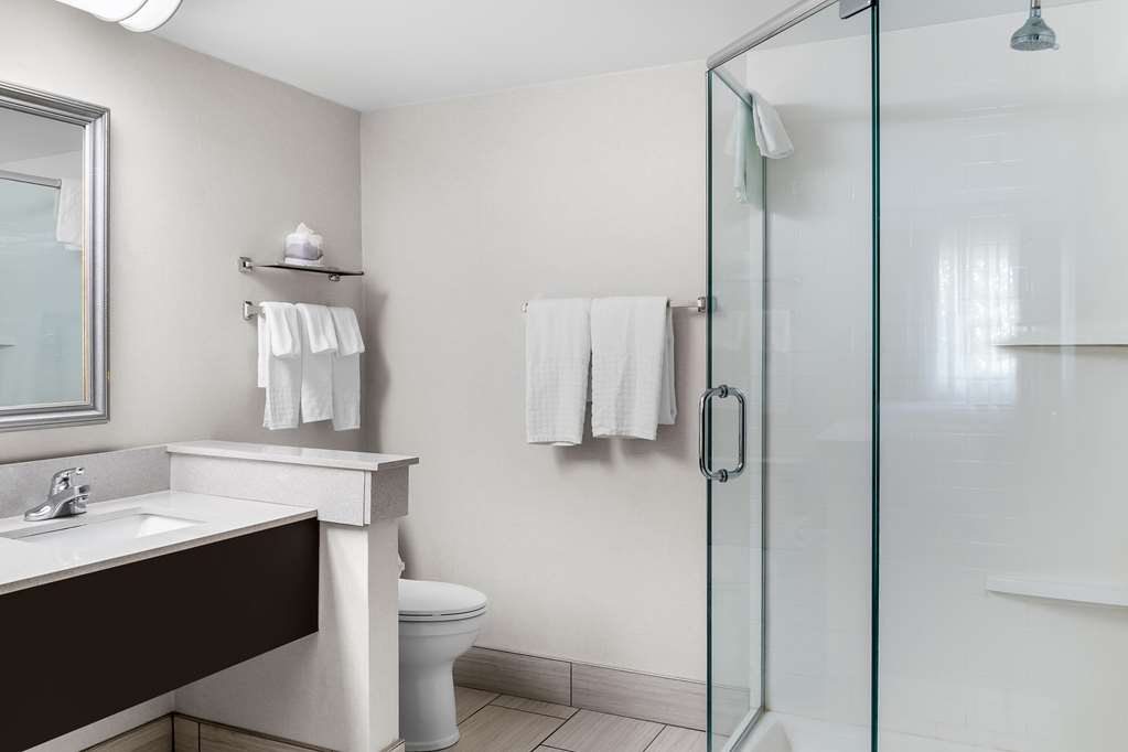 Best Western Okemos East Lansing Hotel & Suites - photo 16