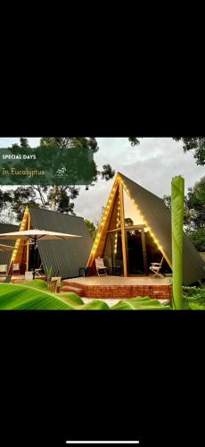Eucalyptus Cottages — Chakvi — photo 4