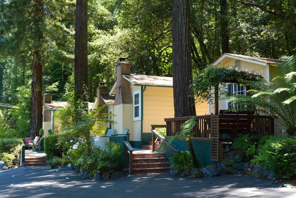 Fern Grove Cottages - photo 74