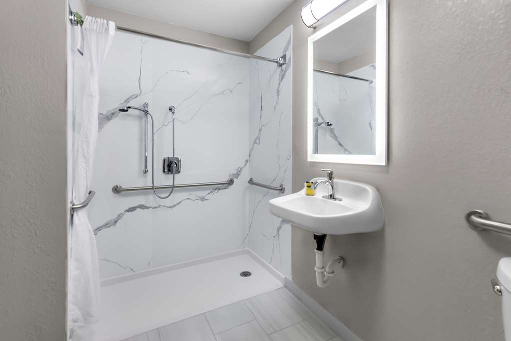 Best Western Plus Fenton - photo 25