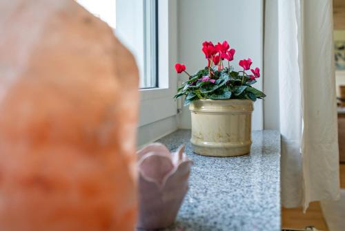 Appartment Piano — Oberhaching — photo 2