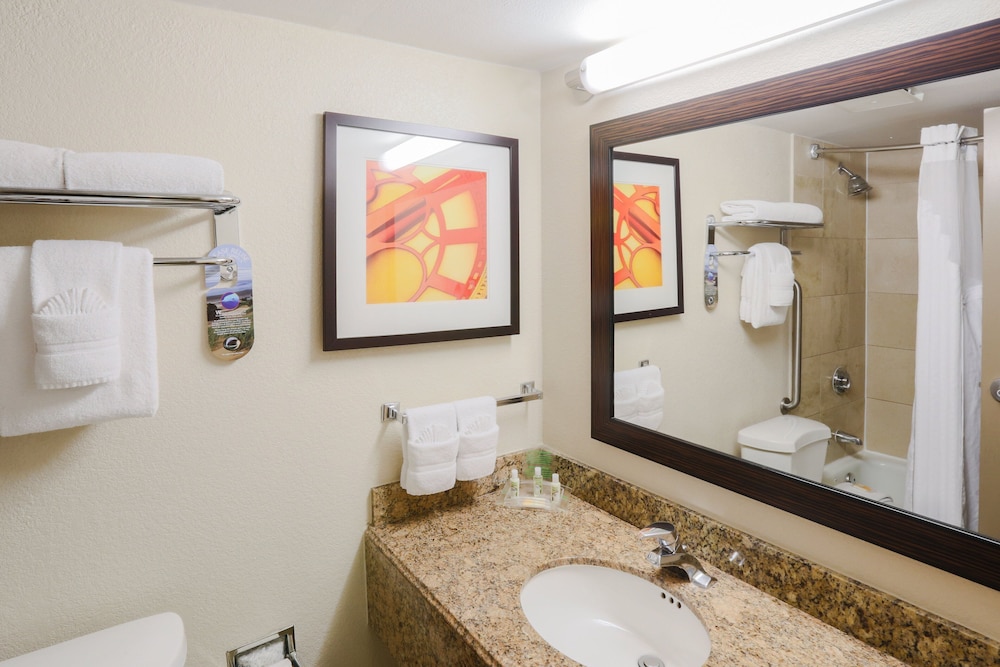 Holiday Inn Austin Midtown by IHG - photo 7