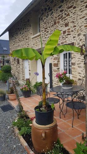 Gîte Esprit Mer — hotel in Gouville-Sur-Mer