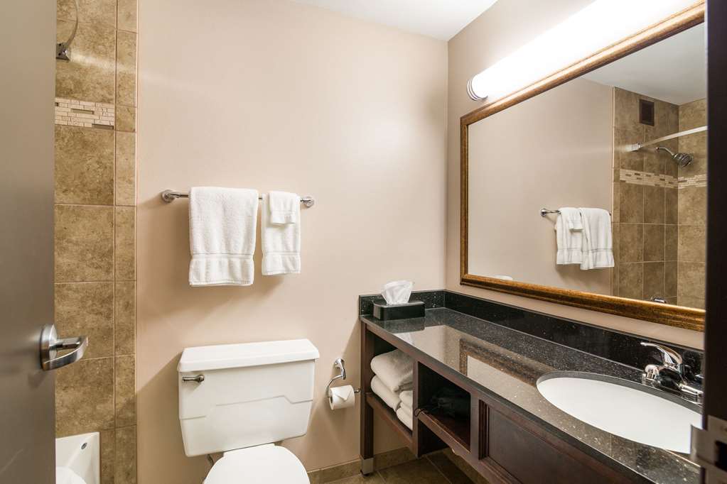 Clarion Hotel Convention Center - photo 39