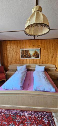 The Saxeten at alps - last minute hotel in Unknown City