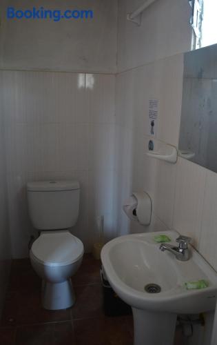 Manu Gallito de las Rocas in Pillcopata, Peru