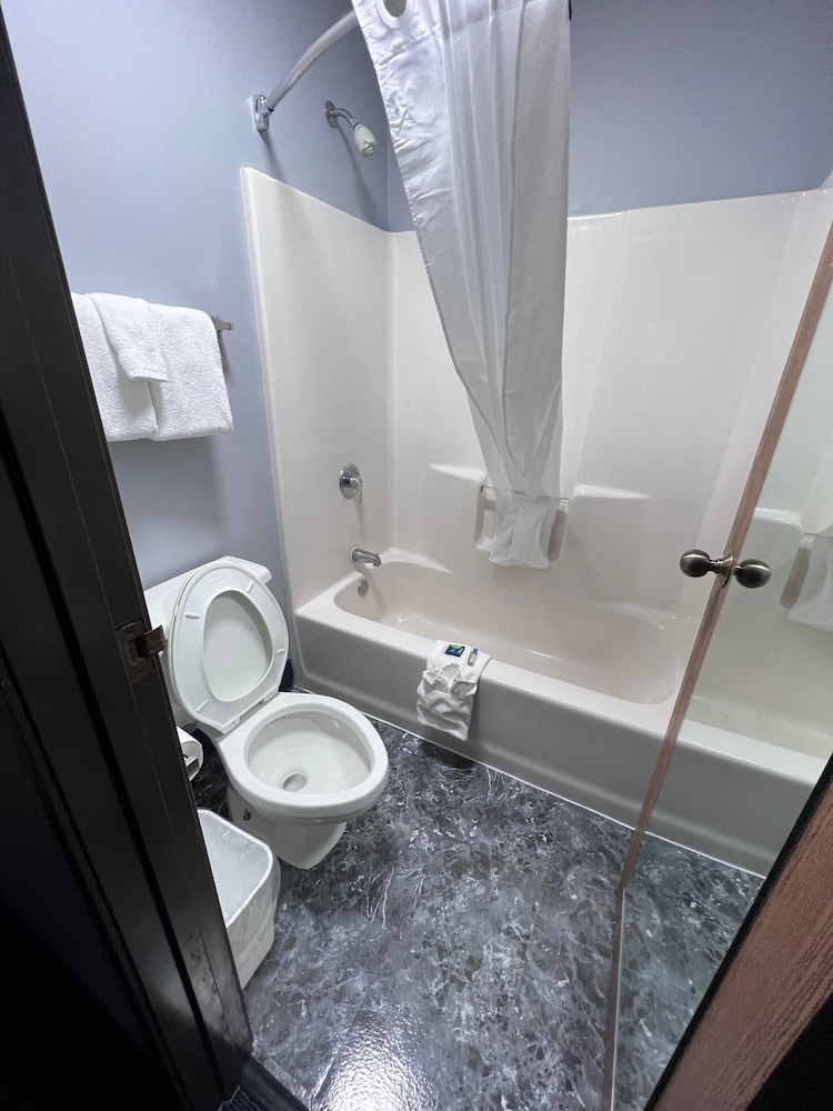 American Inn and Suites Ionia - photo 32