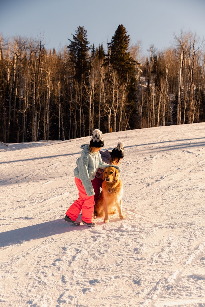 Viceroy Snowmass - photo 108