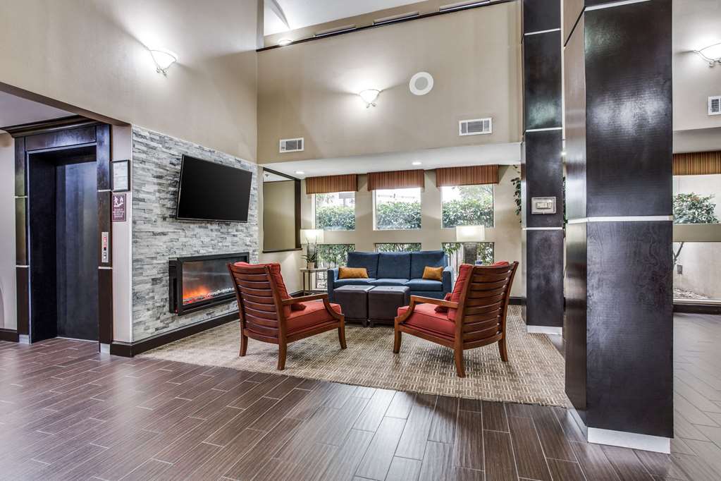 Comfort Inn & Suites Love Field Dallas Market Center - photo 7