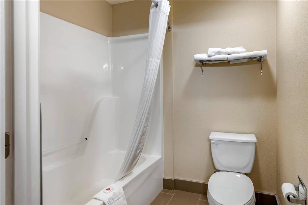Comfort Inn & Suites Bryant Benton - photo 27