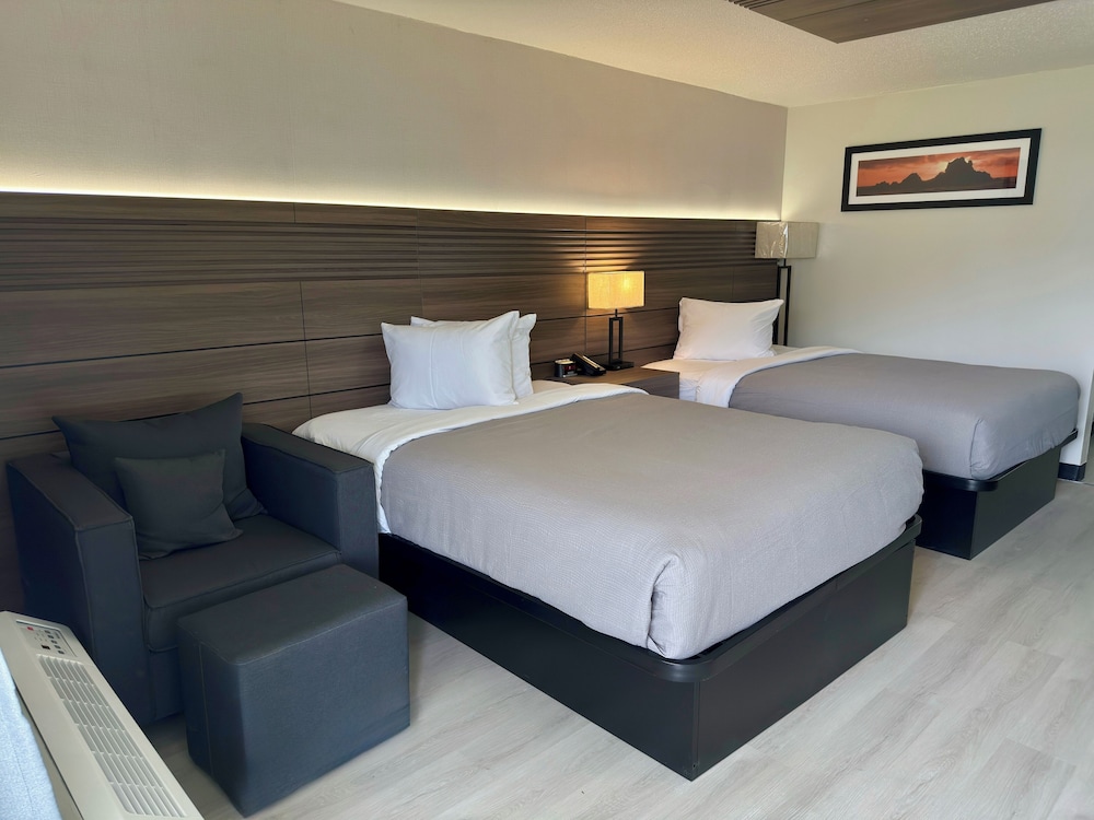 Quality Inn & Suites - photo 6
