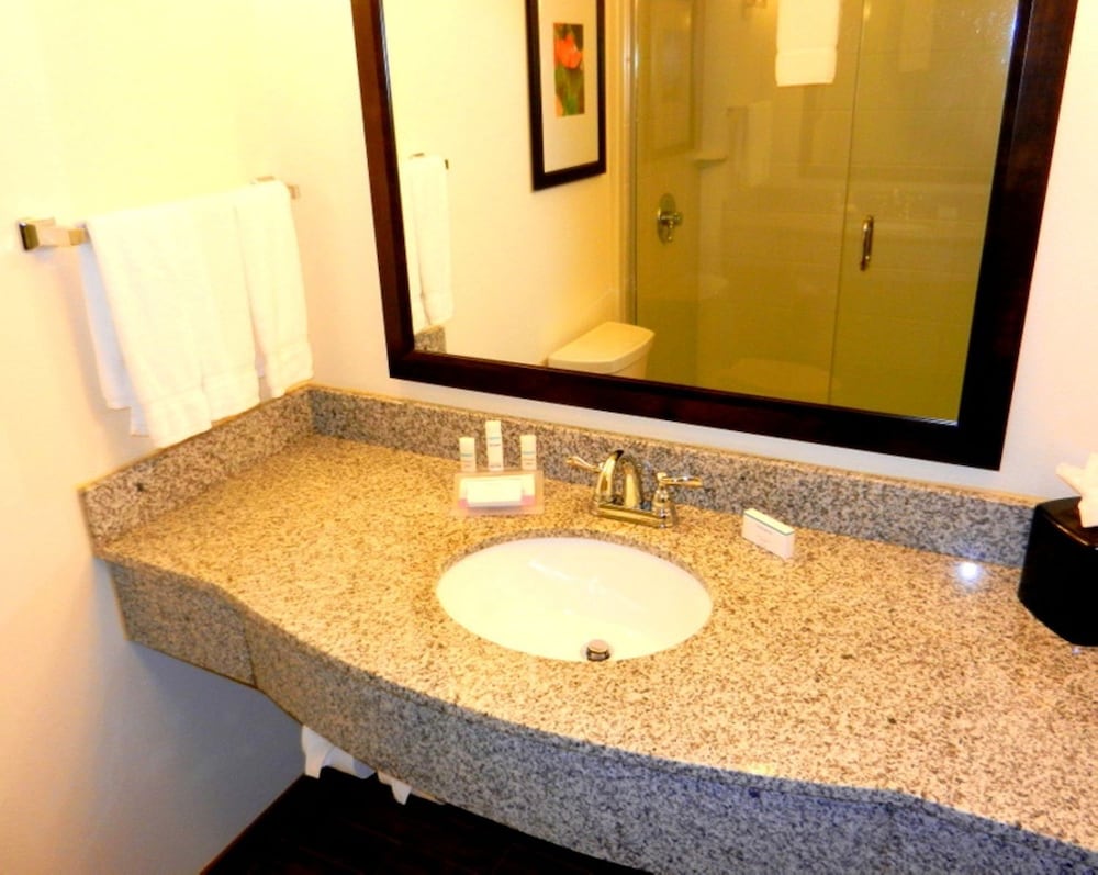 Hilton Garden Inn Pascagoula - photo 29