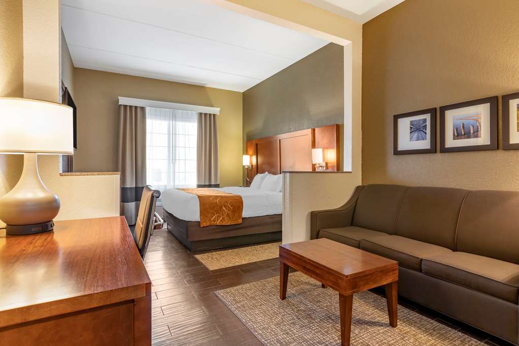 Comfort Suites Grand Rapids South - photo 23