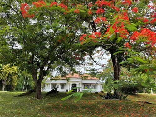 Chandana1941 in Ambalangoda, Sri Lanka