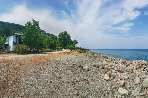 Lemongarden by the Sea in Zagora, Greece