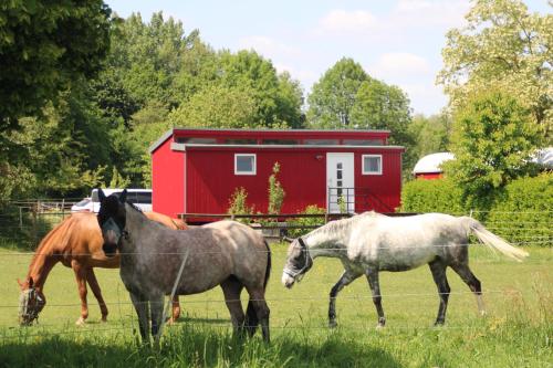 Moerenhof Schlafwagen Domblick Xanten in Xanten, Germany