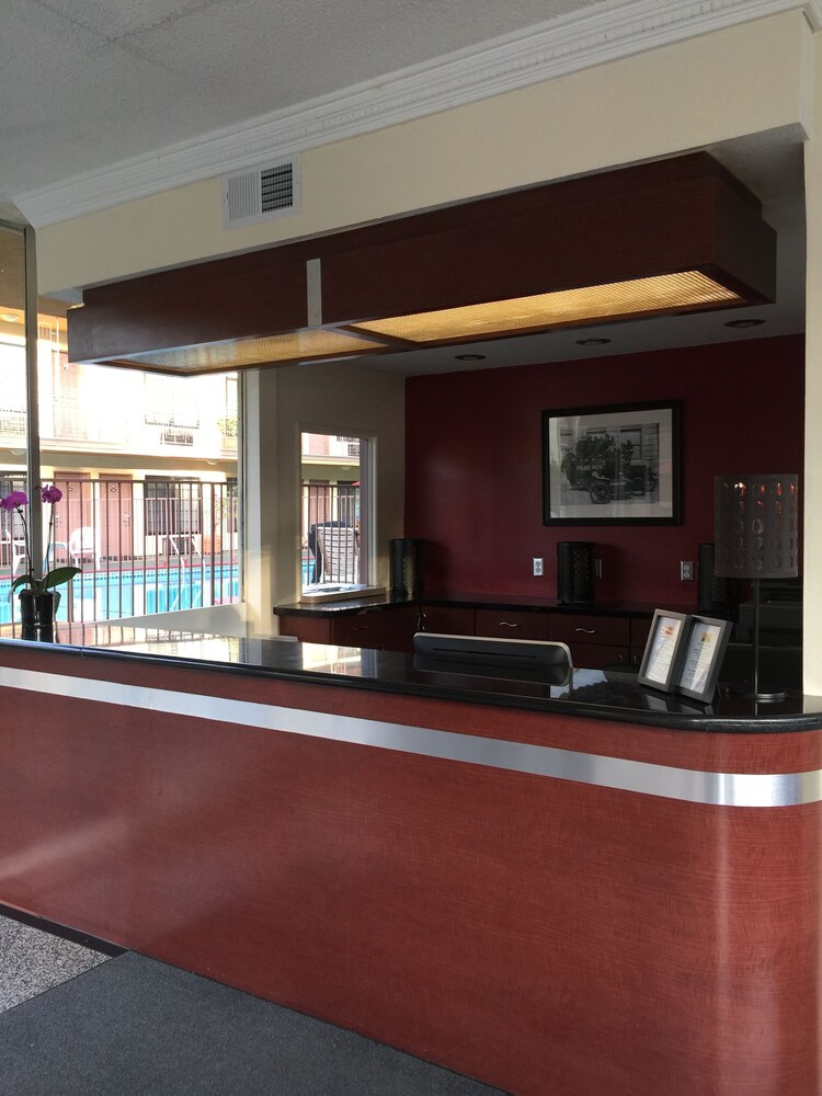 Studio City Court Yard Hotel - photo 3