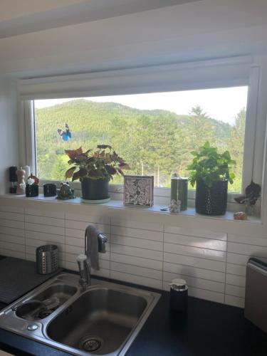 Frihet in Sandnes, Norway