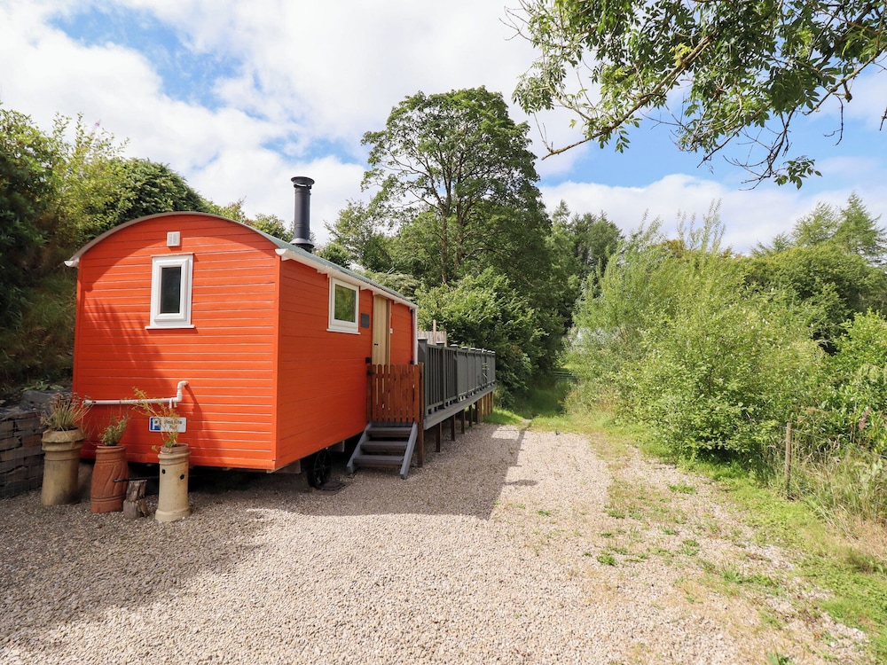 Red Kite at Wild Valley Huts in Oswestry, United Kingdom
