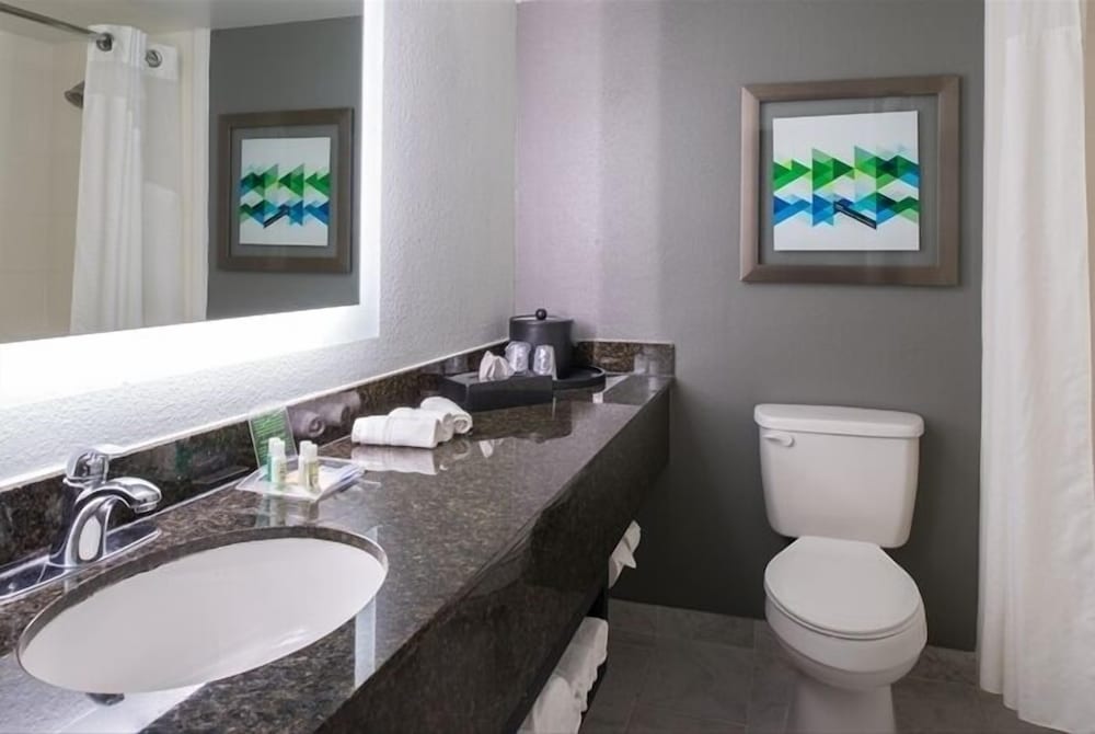 Holiday Inn Hotel & Suites Beaumont Plaza by IHG - photo 12