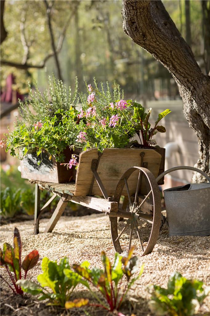 Bernardus Lodge & Spa - photo 54