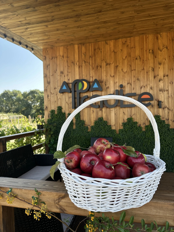 Apparadise Glamping&Spa - last minute hotel in Krasnodar