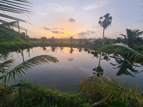 Nila Organica Farm Stay in Palghat, India