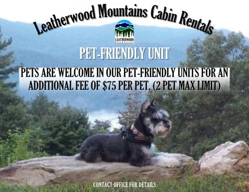 The Last Resort by Leatherwood Mountains Resort in Ferguson, United States