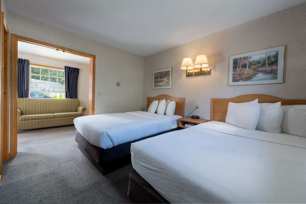 Adirondack Retreat Inn & Suites - photo 14