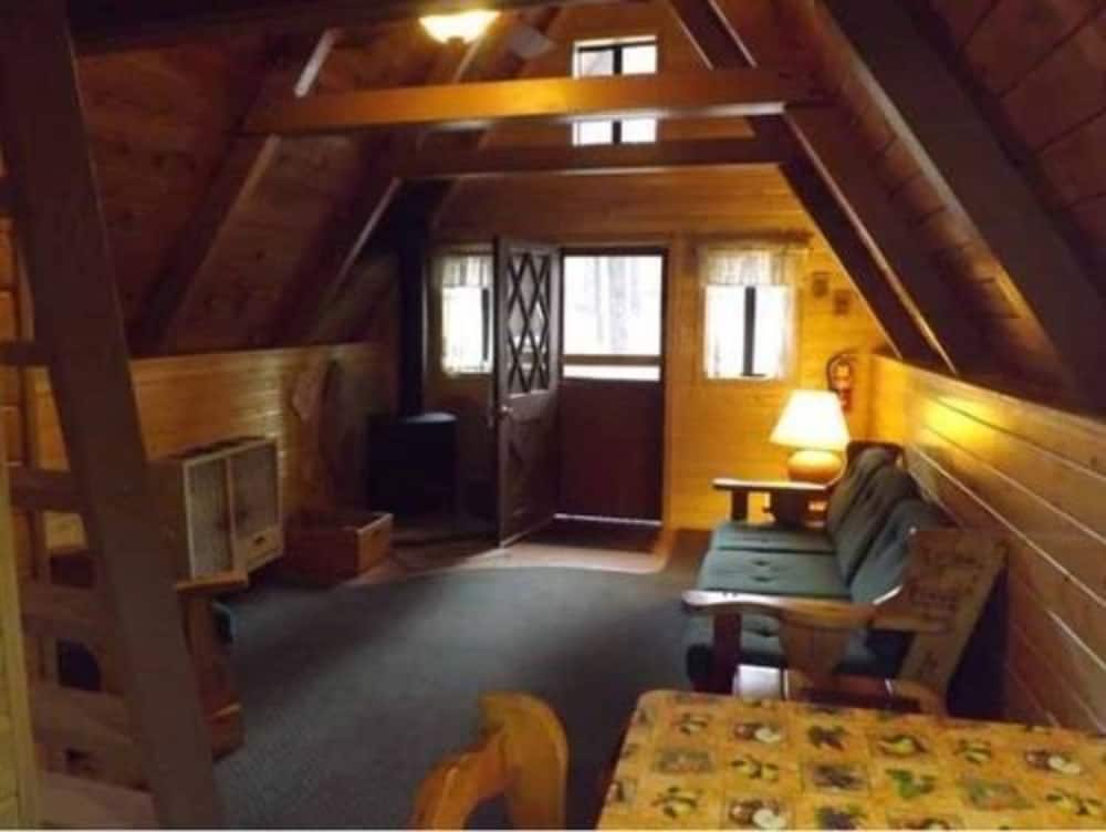 Arizona Mountain Inn and Cabins - photo 109