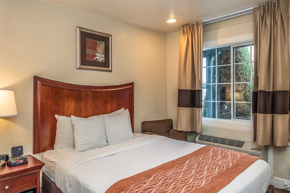 Blu Pacific Hotel - photo 20