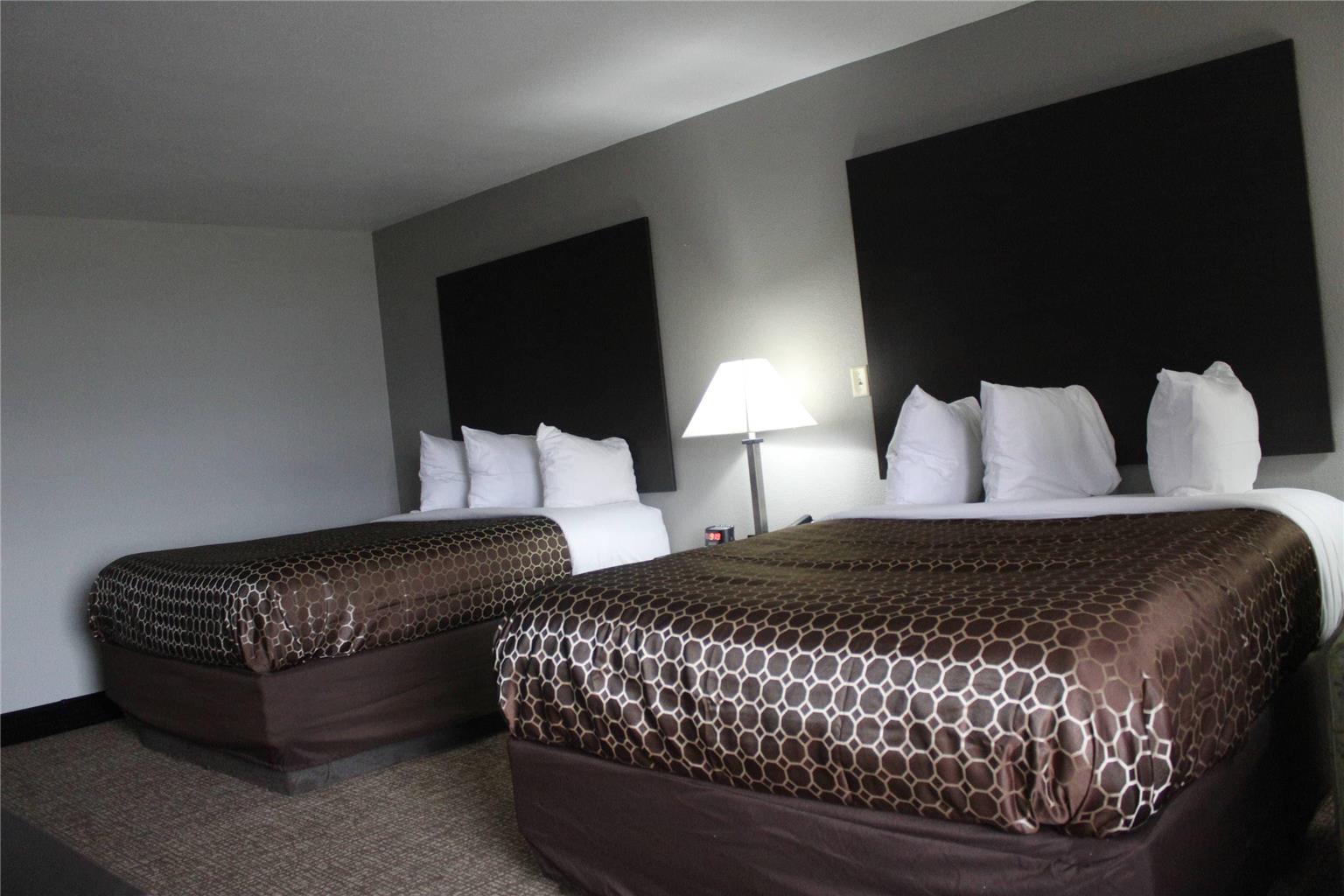 Quality Inn and Suites University Area - photo 36