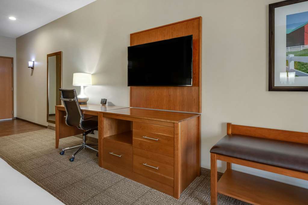Comfort Suites Hotel and Conference Center - photo 19